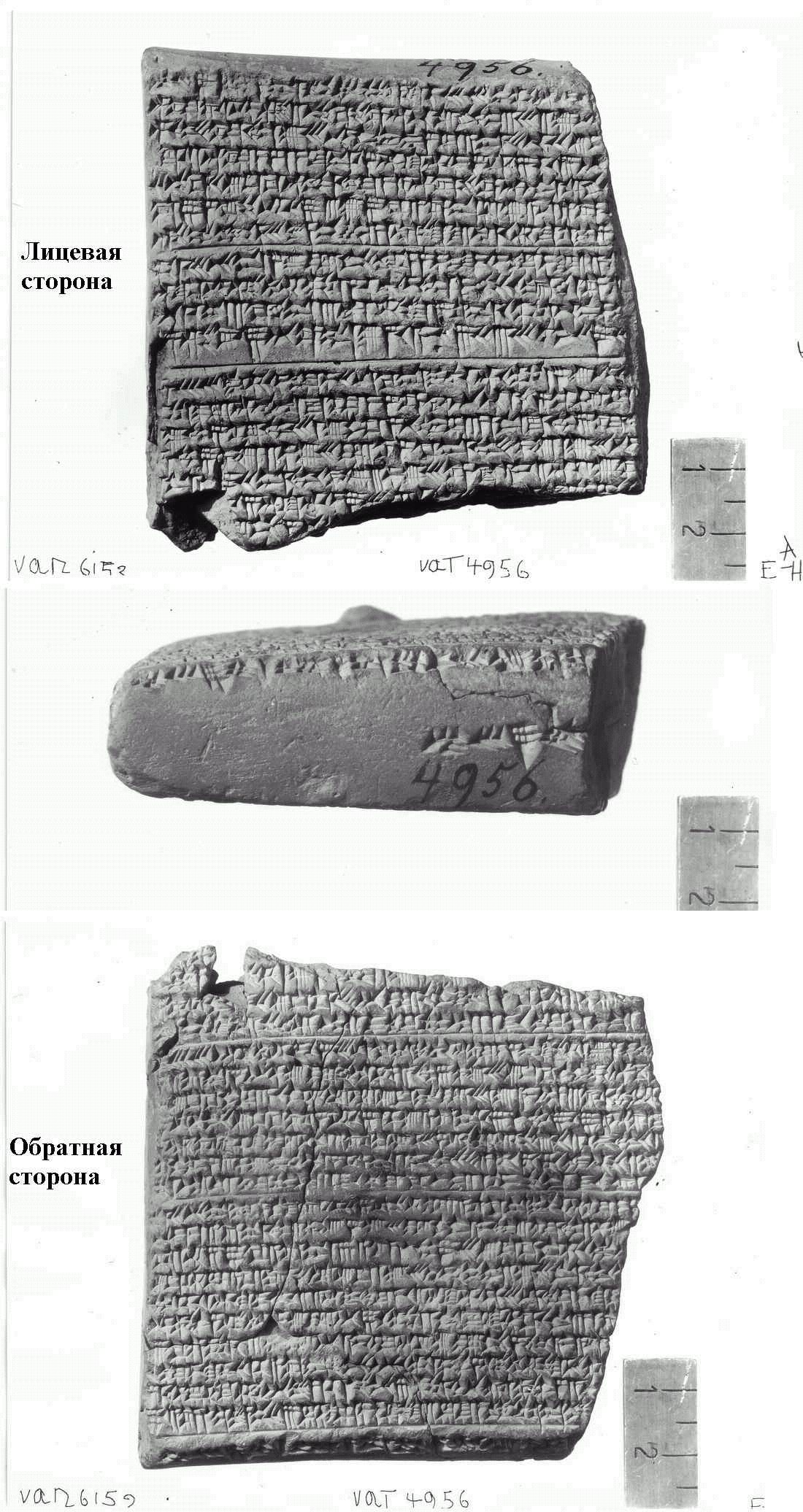 009_VAT_4956_full_ok.JPG