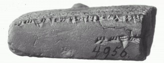 VAT4956_Coccio_Bordo-Basso.jpg