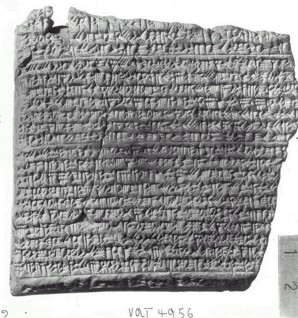 VAT4956_Coccio_Reverse.jpg