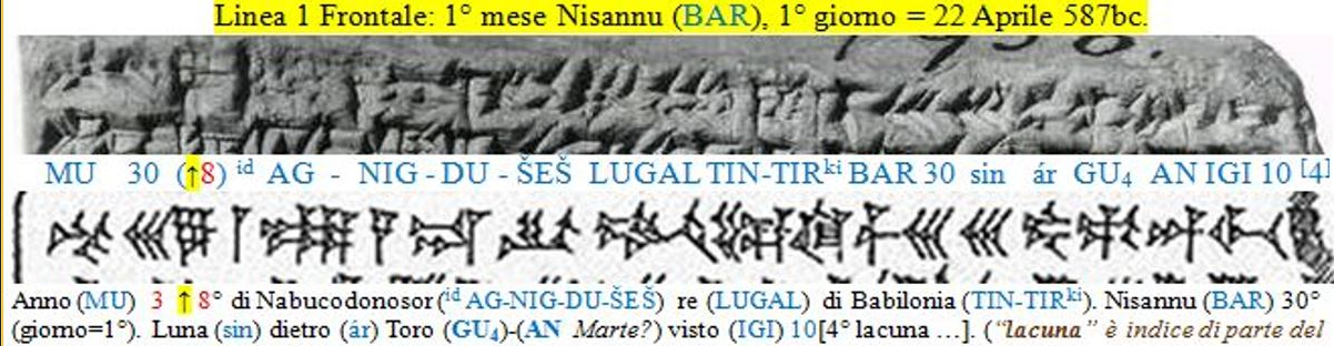 Vat4956_WT_38_1rigo.png